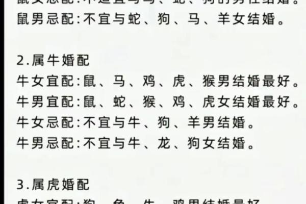 兔鼠生肖配对姻缘 兔与鼠的婚姻相配吗