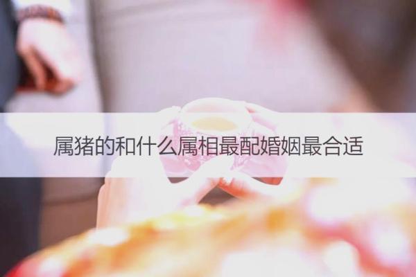 属猪的婚姻配对最佳 属猪的婚配宜忌