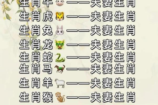 九四年属什么生肖婚配 九四年属什么生肖配对