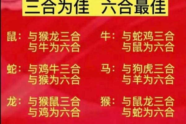 九四年属什么生肖婚配 九四年属什么生肖配对