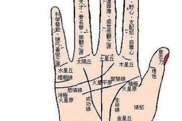 为什么有的人算命很准