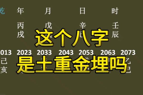 八字金男人