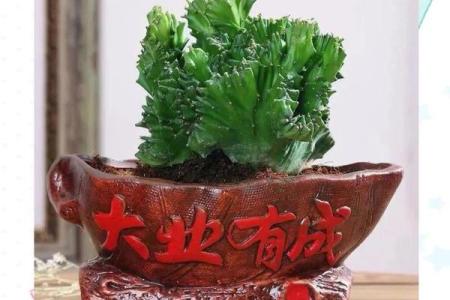 玉麒麟风水风水作用是什么摆放禁忌