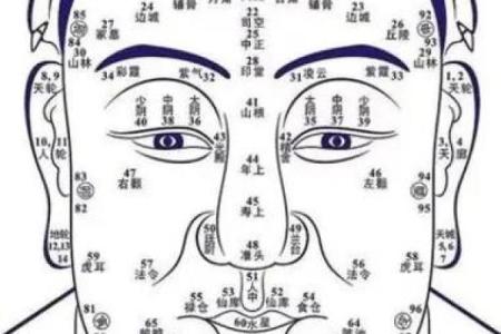 面相解析：额头面相算命图解