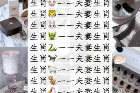 属猪的和什么属相配对好