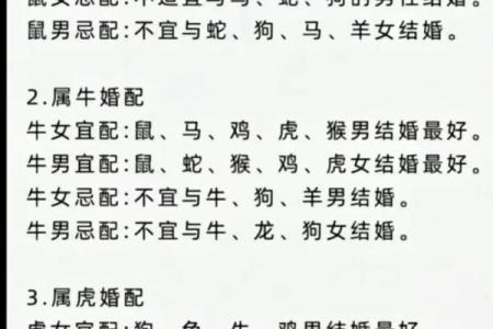 兔鼠生肖配对姻缘 兔与鼠的婚姻相配吗