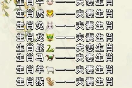 九四年属什么生肖婚配 九四年属什么生肖配对