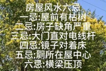 房子长期不住人，这些风水影响可别忽略！