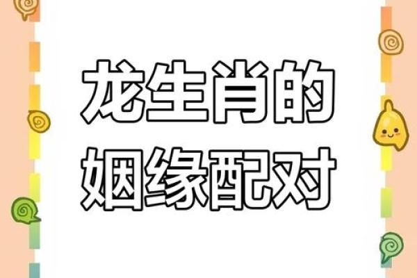 龙的生肖配对什么生肖最好