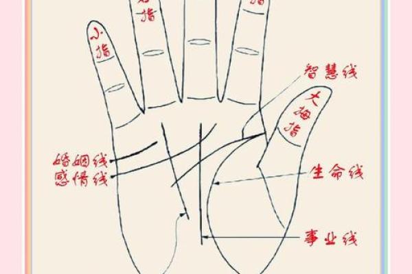 五角星手纹算命图解 五角星手纹手相
