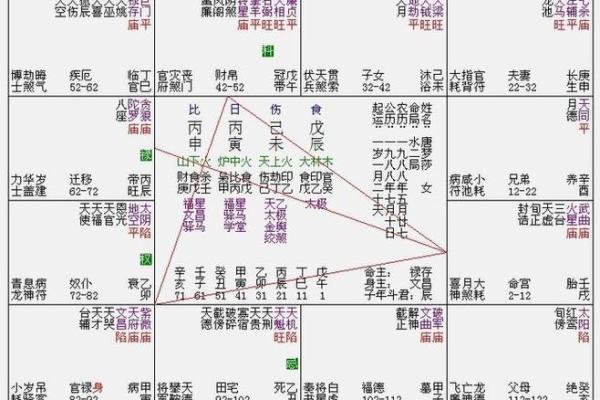 紫微斗数排盘疾厄宫自化忌是什么意思？