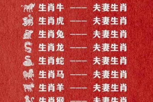 1996年属什么生肖配对