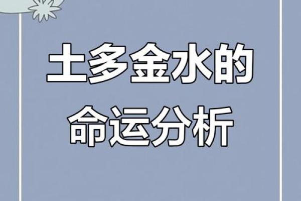 八字金水旺