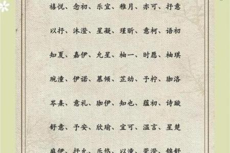 凌晨5点出生的属蛇男孩怎样起名，宜用什么字姓名