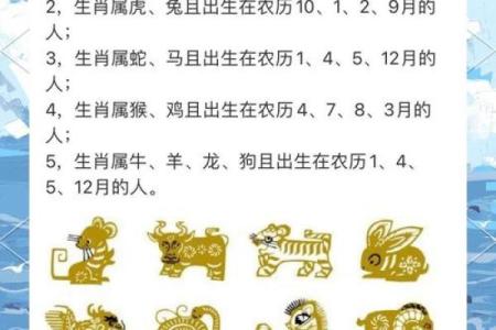 婚姻配对属蛇和属猪相克怎么办