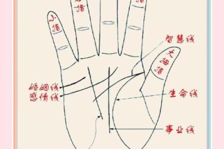 五角星手纹算命图解 五角星手纹手相