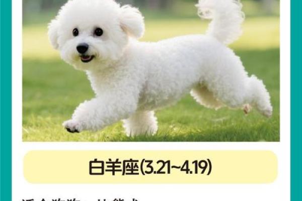 12星座男养狗适合养什么狗