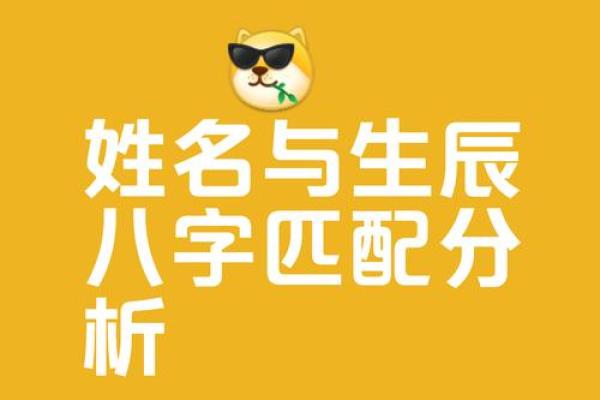 姓名配对的评价 姓名配对测试准不准？