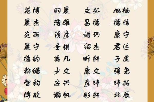 2019年5月15号子时出生的男孩要怎么起名字姓名