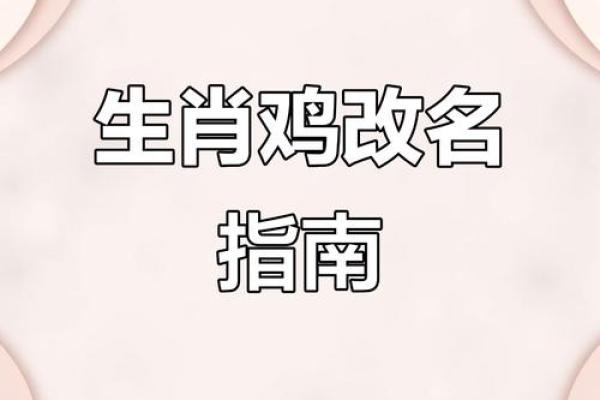 下午2点出生的属鸡男孩要怎么起名，宜用什么字姓名