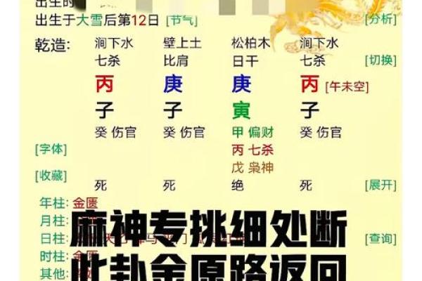 金口诀排盘怎么看