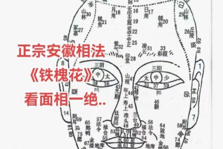 怎样看墓地风水金口诀分析