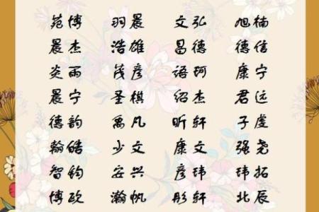 2019年5月15号子时出生的男孩要怎么起名字姓名