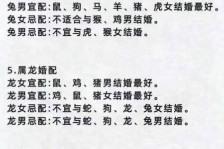 十二生肖配对算命 配婚姻八字十二生肖免费