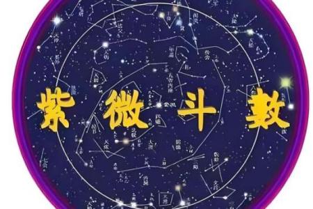 紫微斗数之诸星值限年运气推断：龙池入限运