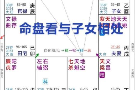 生年紫微斗数 紫薇斗数生年忌？