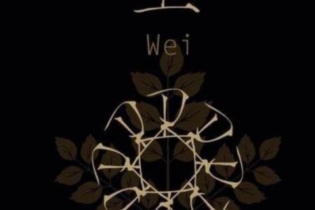 卫姓男孩名字大全-卫姓男孩起名字大全-卫姓名字大全姓名