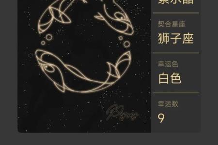 狮子座双鱼配对合适吗