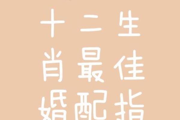 老鼠和什么属相最配对 老鼠和哪个属相最佳配对