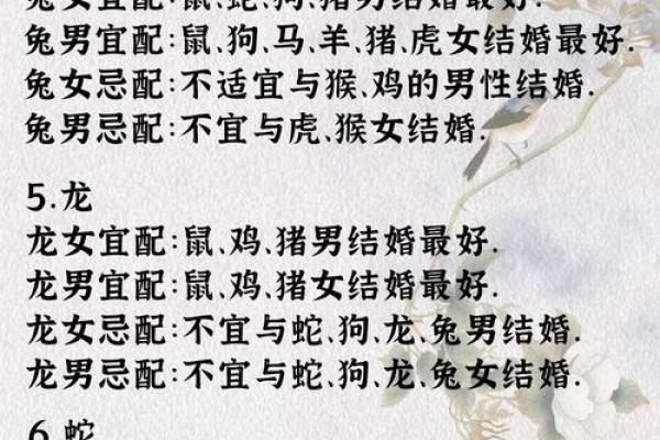 1971年属什么生肖配对 1971年属什么生肖配对最好