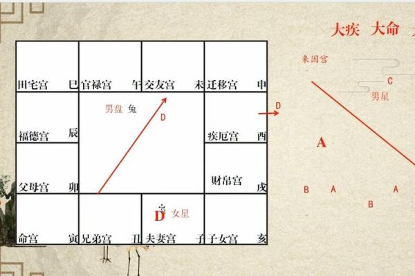 紫薇斗数看男女