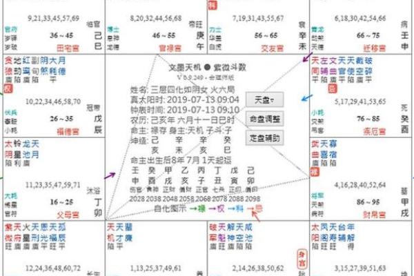 紫微斗数正统 紫微斗数!？