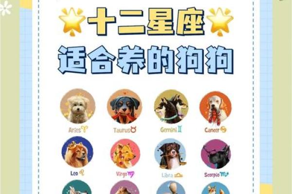 12星座谁最适合养什么狗呢