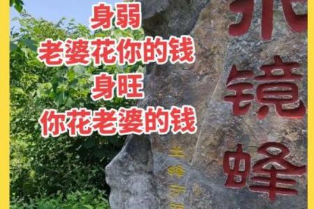 八字命理：比肩劫财是什么意思