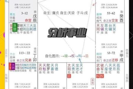 紫薇斗数解析新闻