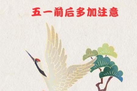冲猪是属猪的不吉日吗 冲猪煞东的重点