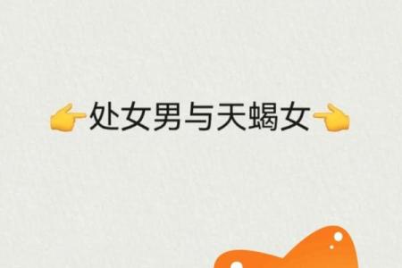 能征服天蝎男的星座女有哪些