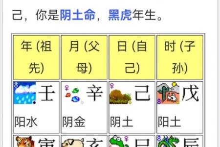 生辰八字速算：轻松预测个人命运走势