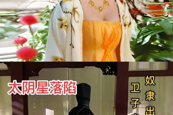 会紫薇斗数的人