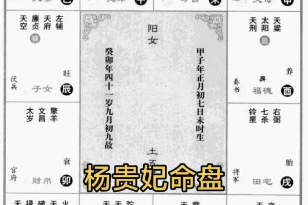 会紫薇斗数的人