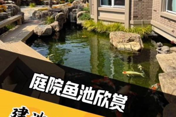 房子后边有鱼塘好不好风水