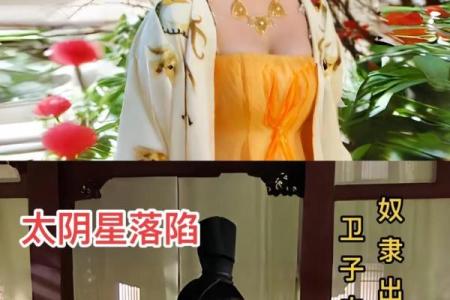 会紫薇斗数的人