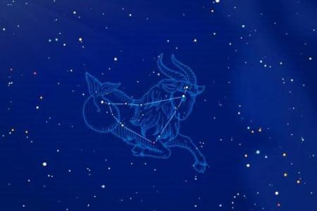 哪个生肖星座男本事最大
