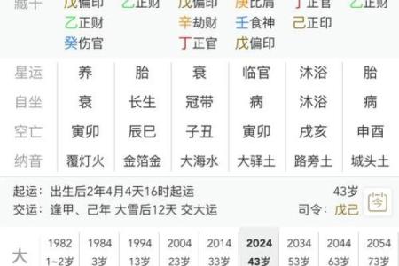 八字看什么人适合当官