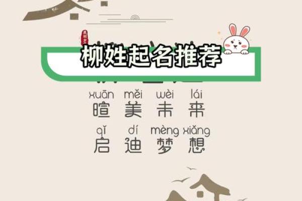 柳姓男孩名字大全-柳姓男孩起名字大全-柳姓名字大全姓名