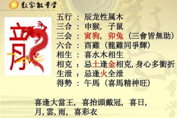 属龙的跟属龙的结婚属上等婚吗 配对要注意什么